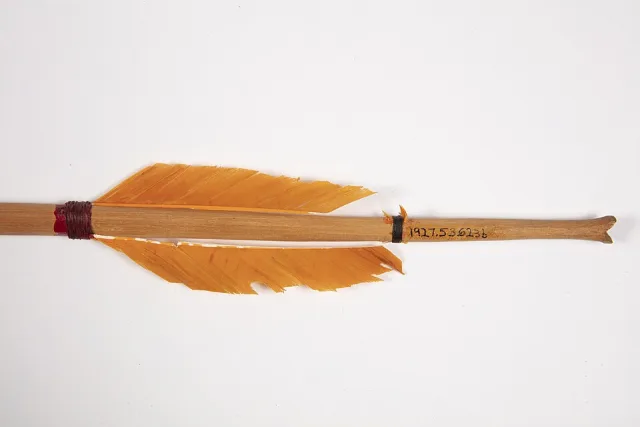 Arrow with feather fletching