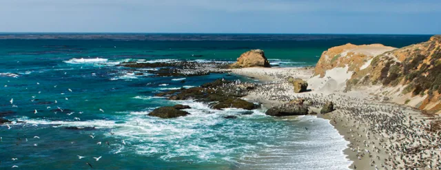 California Andrew Molera State Park Scene