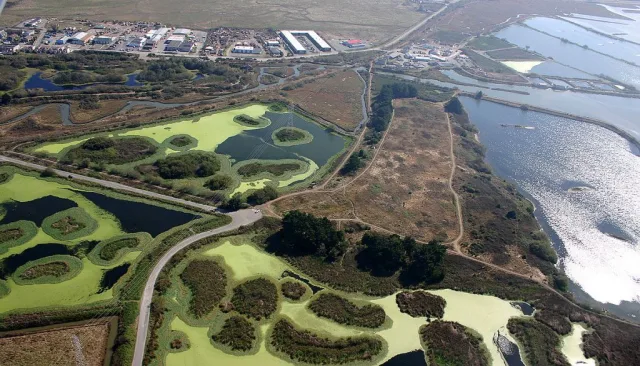California Arcata Marsh and Wildlife Sanctuary Scene