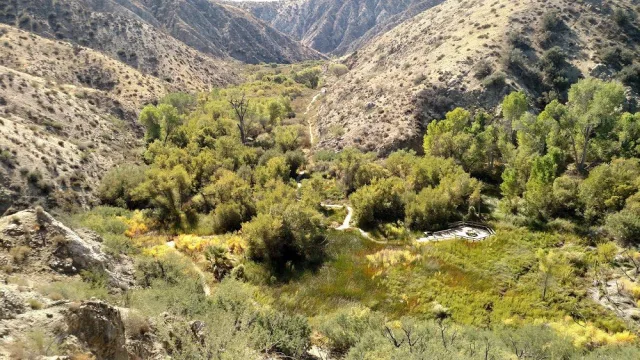 California Big Morongo Canyon Preserve & Covington Park Scene