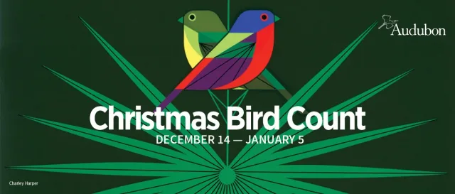 Christmas Bird Count Logo