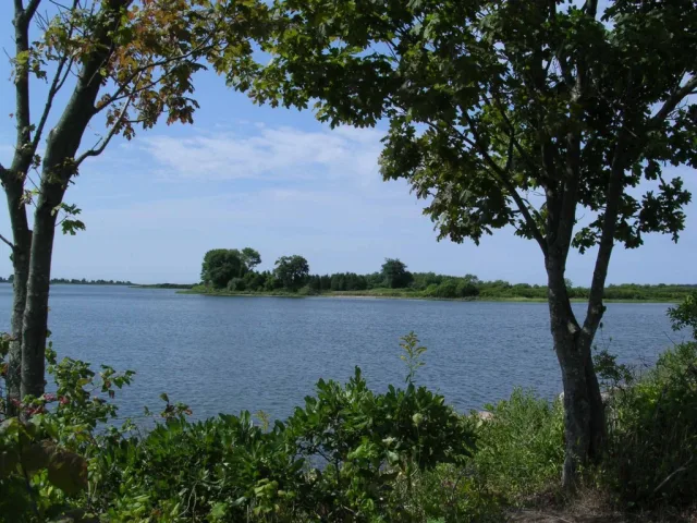 Connecticut Bluff Point State Park Scene