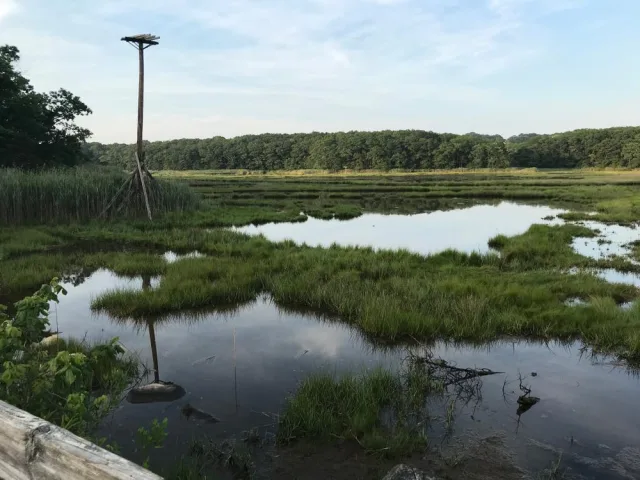 Connecticut Rocky Neck State Park Scene