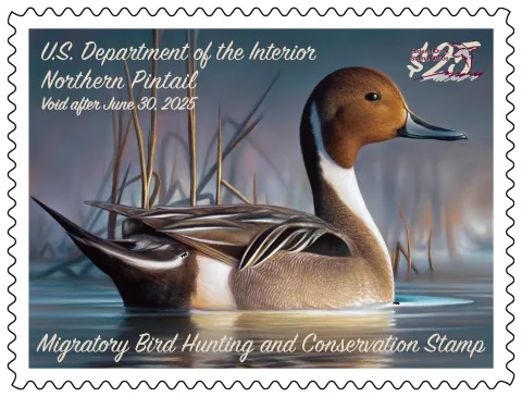 Federal Migratory Bird Hunting and Conservation Stamp