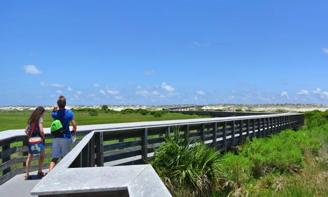 Florida Anastasia State Park Scene