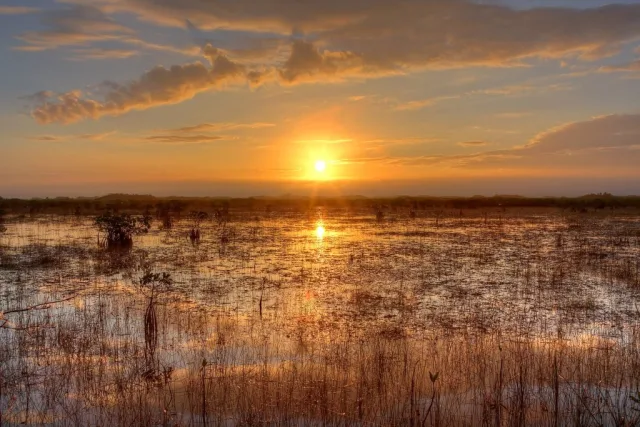 Florida Everglades National Park Scene