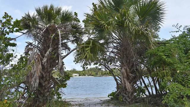 Florida Hobe Sound National Wildlife Refuge Scene