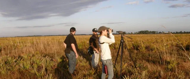 Florida Kissimmee Prairie Preserve State Park Scene