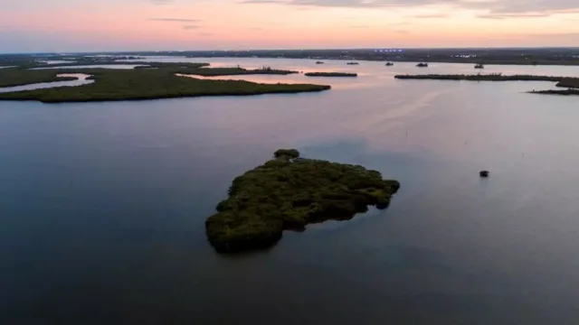 Florida Pelican Island National Wildlife Refuge Scene