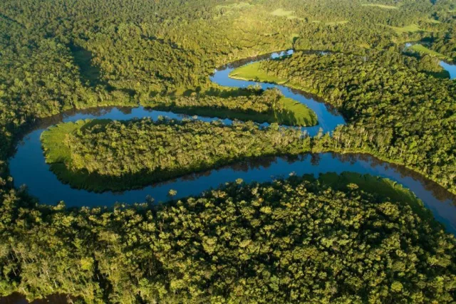 Georgia Altamaha WMA Scene