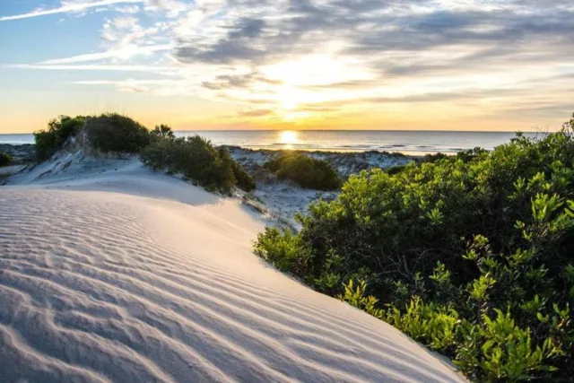 Georgia Cumberland Island National Seashore Scene