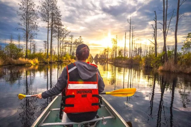 Georgia Okefenokee National Wildlife Refuge Scene