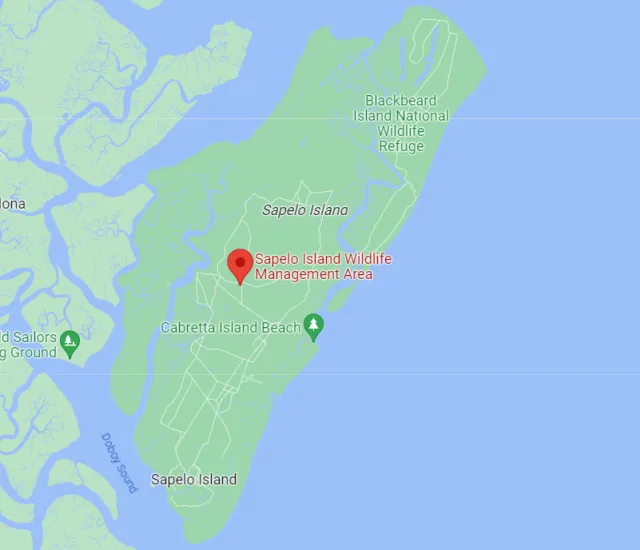 Georgia Sapelo Island Map