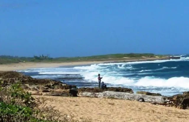 Hawaii James Campbell NWR Scene