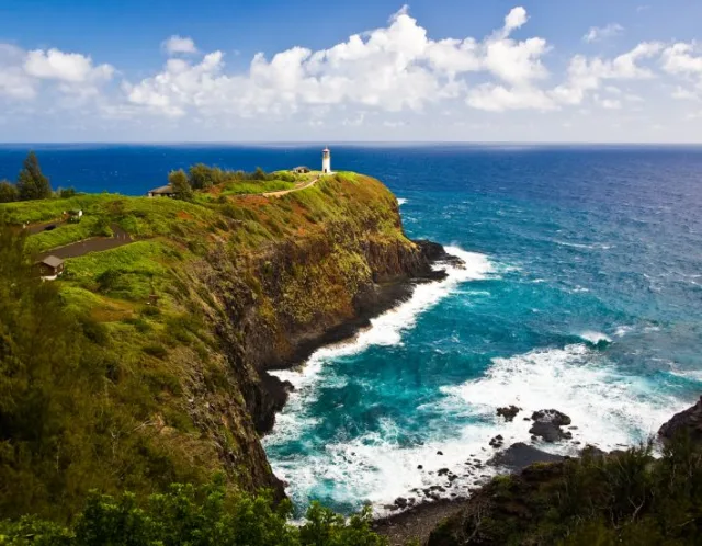 Hawaii Kīlauea Point NWR Scene