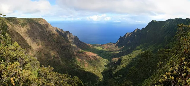 Hawai'i Koke'e State Park Scene