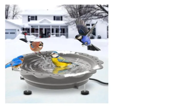 An image of a heated bird bath with birds around it.