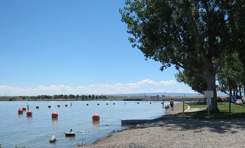 Idaho C.J. Strike Reservoir Scene