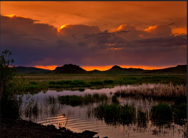 Idaho Camas NWR Scene