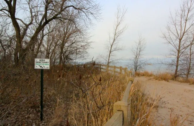 Indiana Lakefront Park and Sanctuary, Hammond Scene