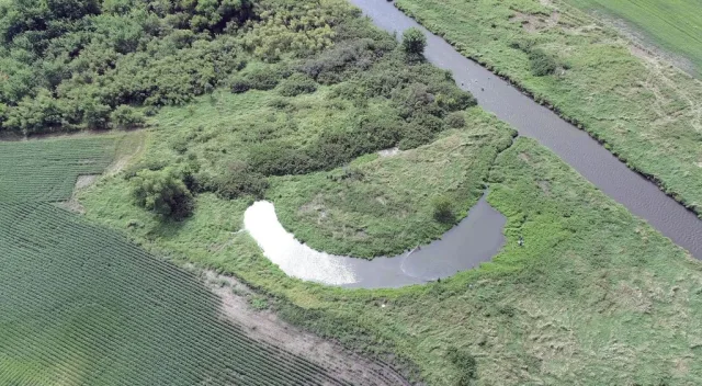 Indiana Oxbow Nature Conservancy Scene