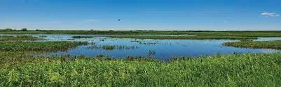 Iowa Big Marsh WMA Scene