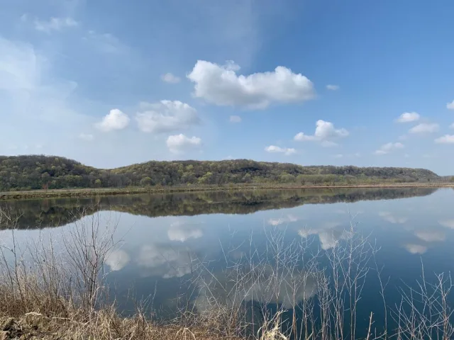 Iowa Green Island WMA Scene