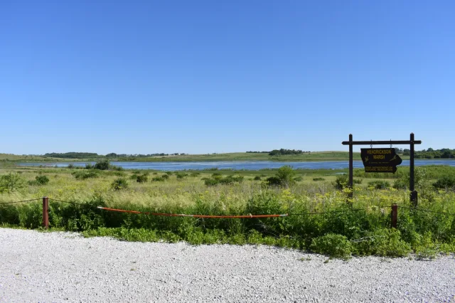 Iowa Hendrickson Marsh Scene