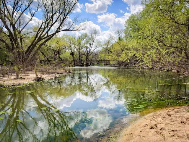 Kansas Cheney Wildlife Park Scene