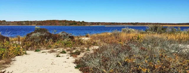 Massachusetts Allens Pond Scene