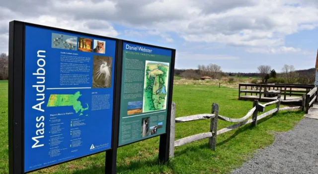 Massachusetts Daniel Webster Wildlife Sanctuary Scene