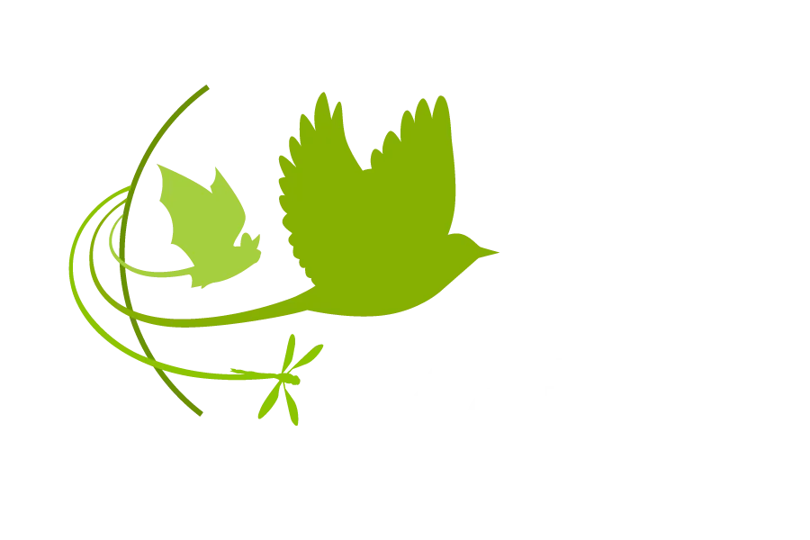 Motus Logo