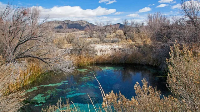 Nevada Ash Meadows National Wildlife Refuge Scene
