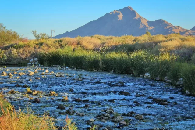 Nevada Clark County Wetlands Park Scene