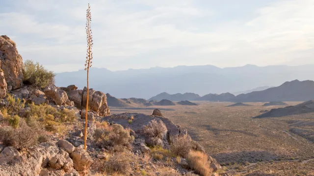 Nevada Desert National Wildlife Refuge Scene