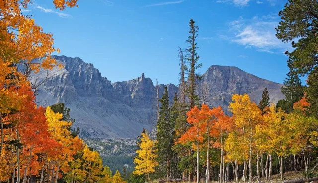 Nevada Great Basin National Park Scene