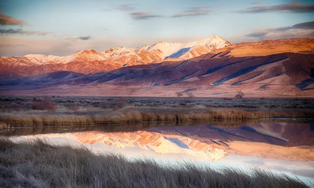 Nevada Lahontan Valley Wetlands Scene