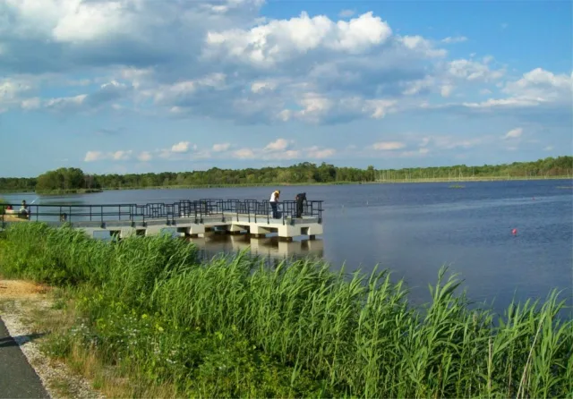 New Jersey Heislerville WMA Scene
