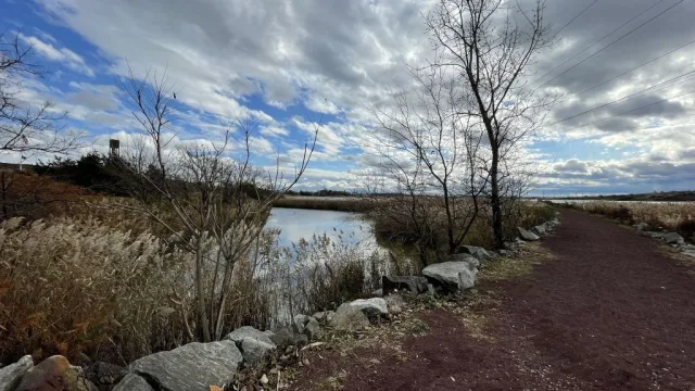 New Jersey Richard W. DeKorte Park Scene