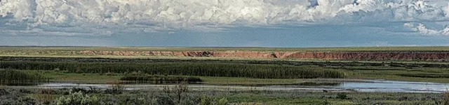 New Mexico Bitter Lake NWR Scene