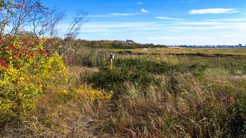 New York Jamaica Bay Wildlife Refuge Scene