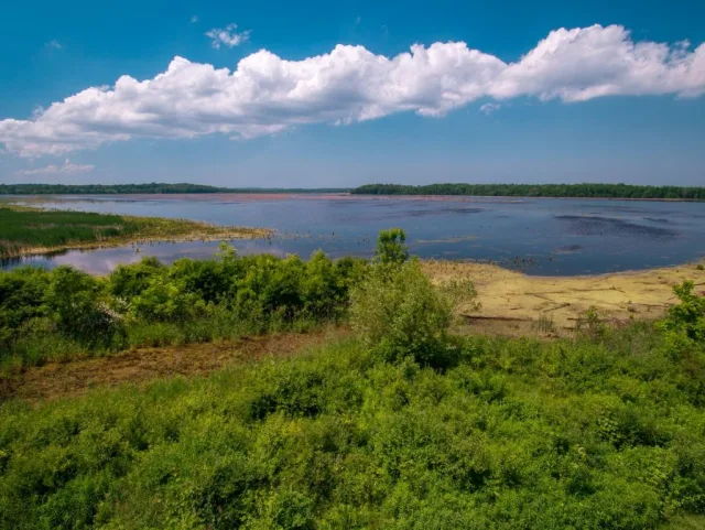 New York Montezuma National Wildlife Refuge Scene