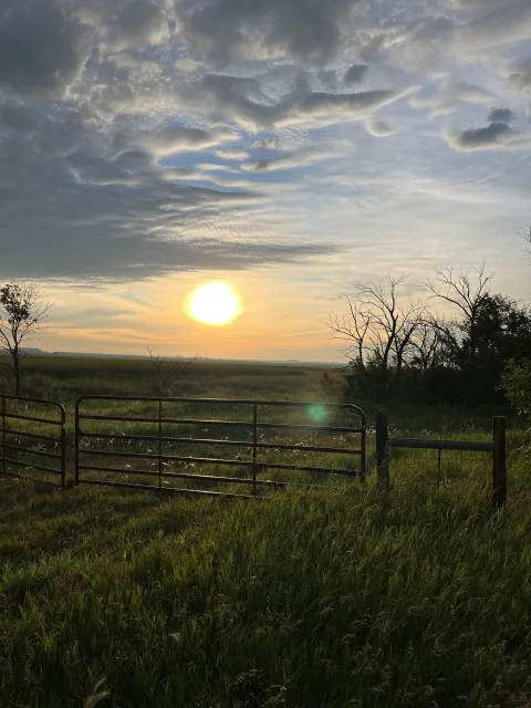 North Dakota McKenzie Slough Scene
