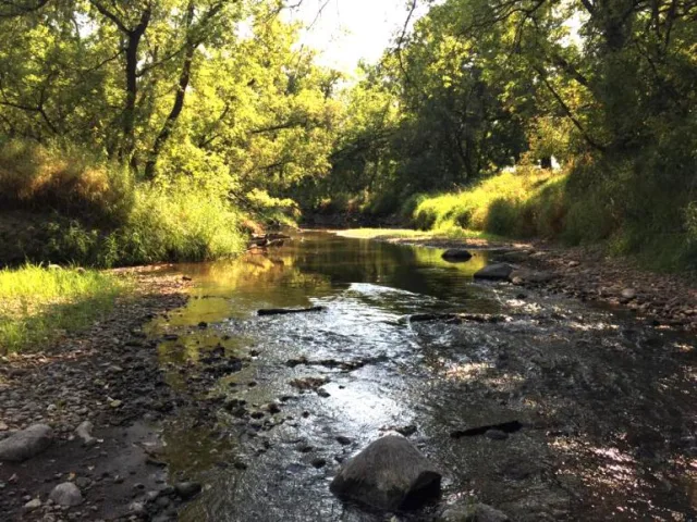 North Dakota Turtle River SP Scene