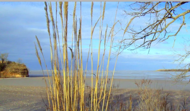 Oklahoma Salt Plains NWR Scene