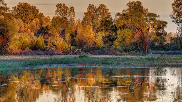 Oklahoma Sequoyah NWR Scene