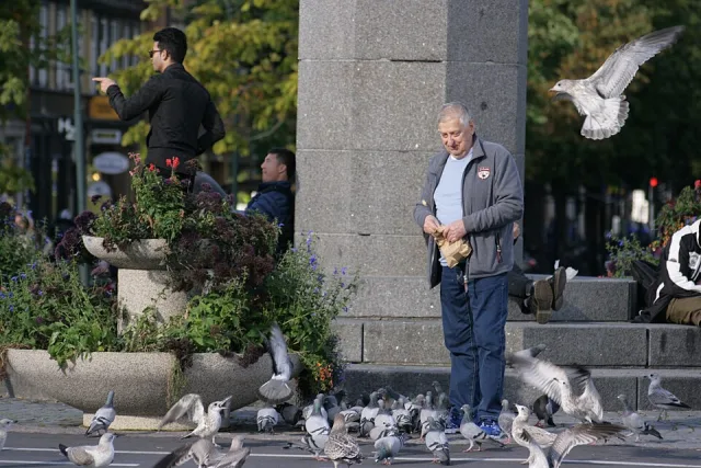 Man feeding a large group of pigeons