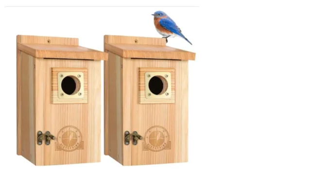 A pair of bird nesting boxes.
