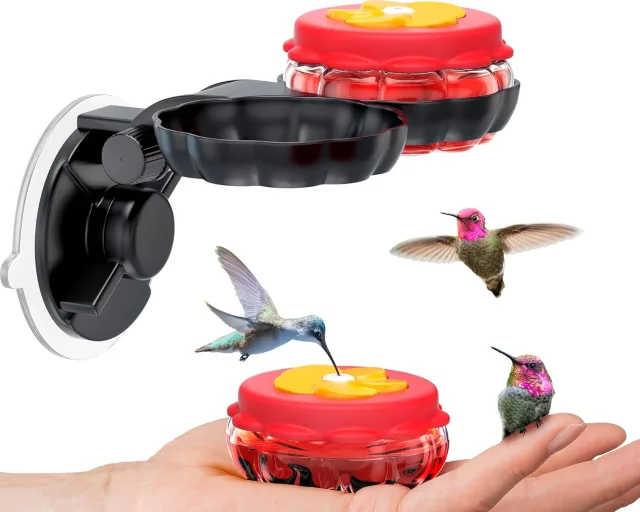 Sewanta hand held glass hummingbird feeder