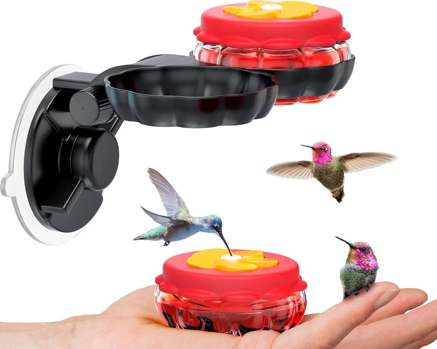 Sewanta hand held glass hummingbird feeder